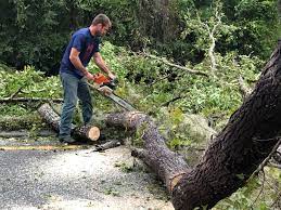 Mulching Services in Hoopa, CA